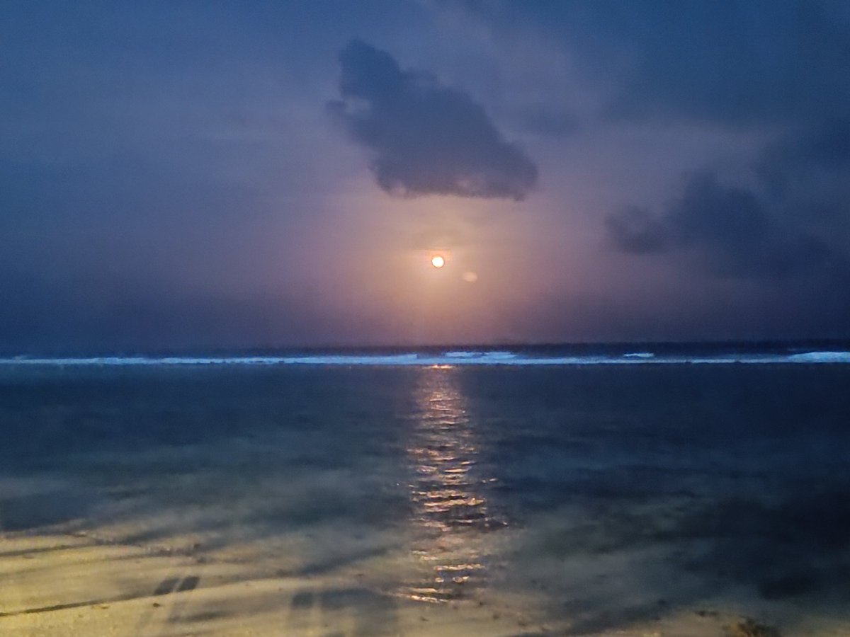 alirasheedahmed's tweet photo. Competition is fine, but the unique beauty of the Maldives can't be experienced in any other archipelago.
🏝️ 🌞 🌙
#VisitMaldives #ExploreMaldives #SunnySideOfLife https://t.co/Sa1JD5GI4x