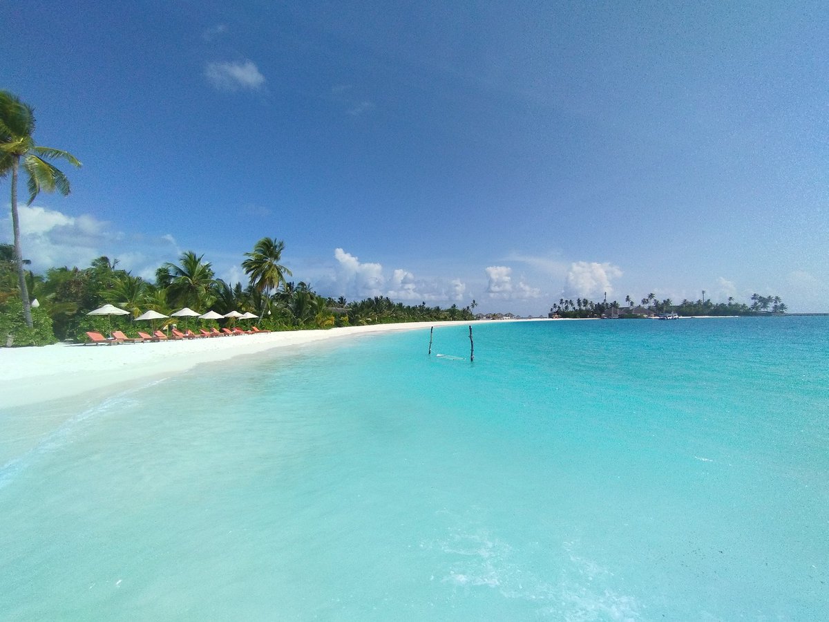 alirasheedahmed's tweet photo. Competition is fine, but the unique beauty of the Maldives can't be experienced in any other archipelago.
🏝️ 🌞 🌙
#VisitMaldives #ExploreMaldives #SunnySideOfLife https://t.co/Sa1JD5GI4x
