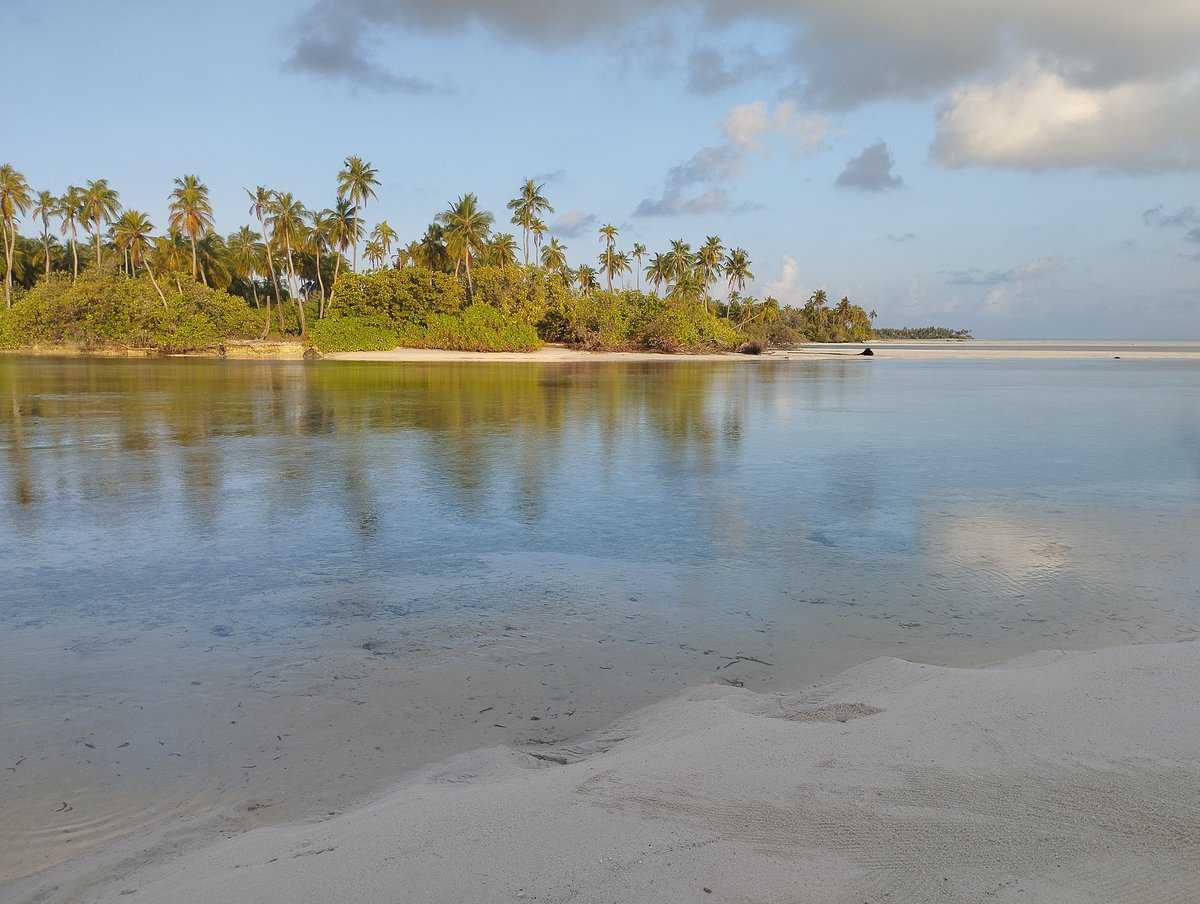 alirasheedahmed's tweet photo. Competition is fine, but the unique beauty of the Maldives can't be experienced in any other archipelago.
🏝️ 🌞 🌙
#VisitMaldives #ExploreMaldives #SunnySideOfLife https://t.co/Sa1JD5GI4x