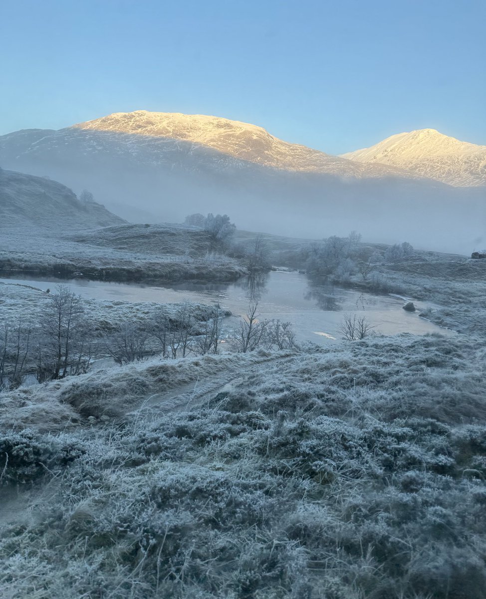 Patrick Galbraith tweet media