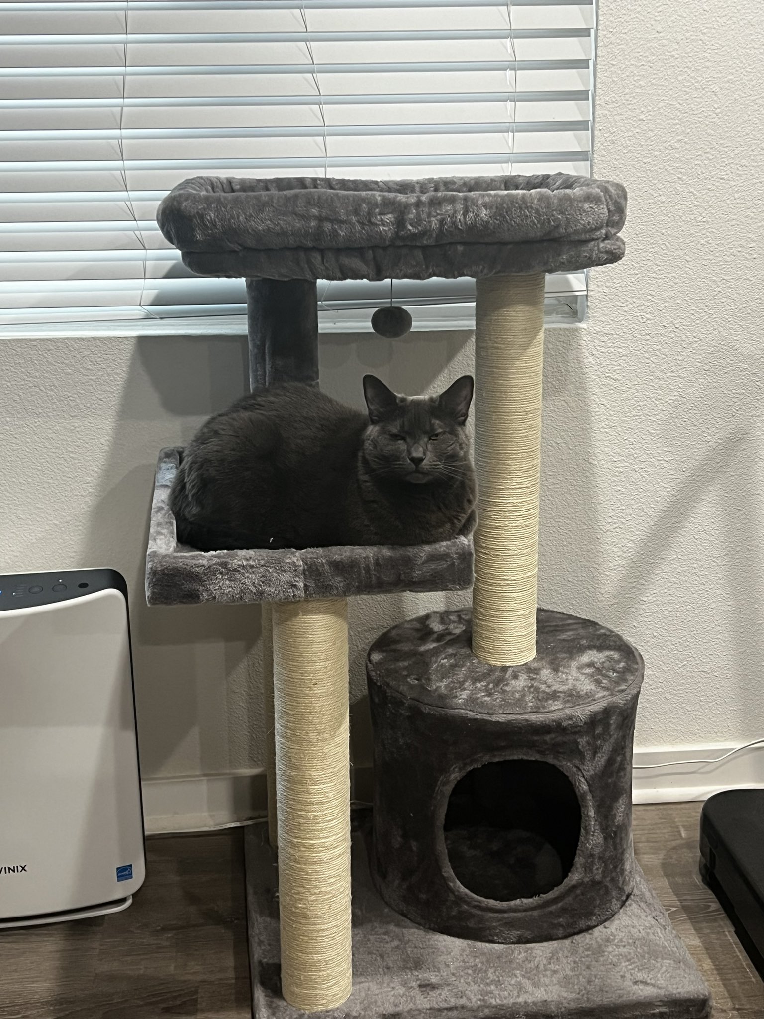 Animaze cat clearance tree