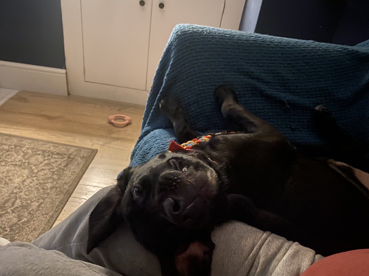 Howmanymatts's tweet image. I am trying to watch the post office fuck up decent working people ffs!