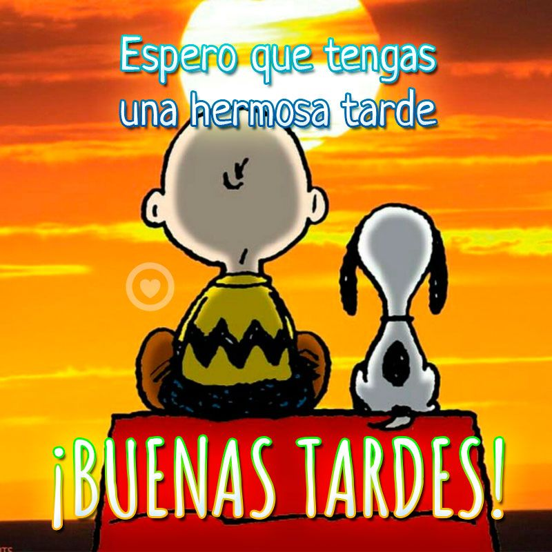 Muy buenas tarde🌄 gente¡
les deseo un monton de cosas buenas