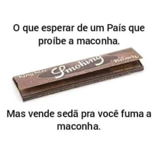 Chapo Do Chong (@chapodochong) on Twitter photo 