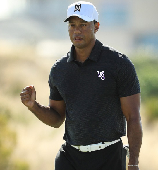 WSDashBaseball's tweet photo. Welcome to the team!  @TigerWoods 
#holdtheline #tigerwoods https://t.co/PoAvuMVnIR