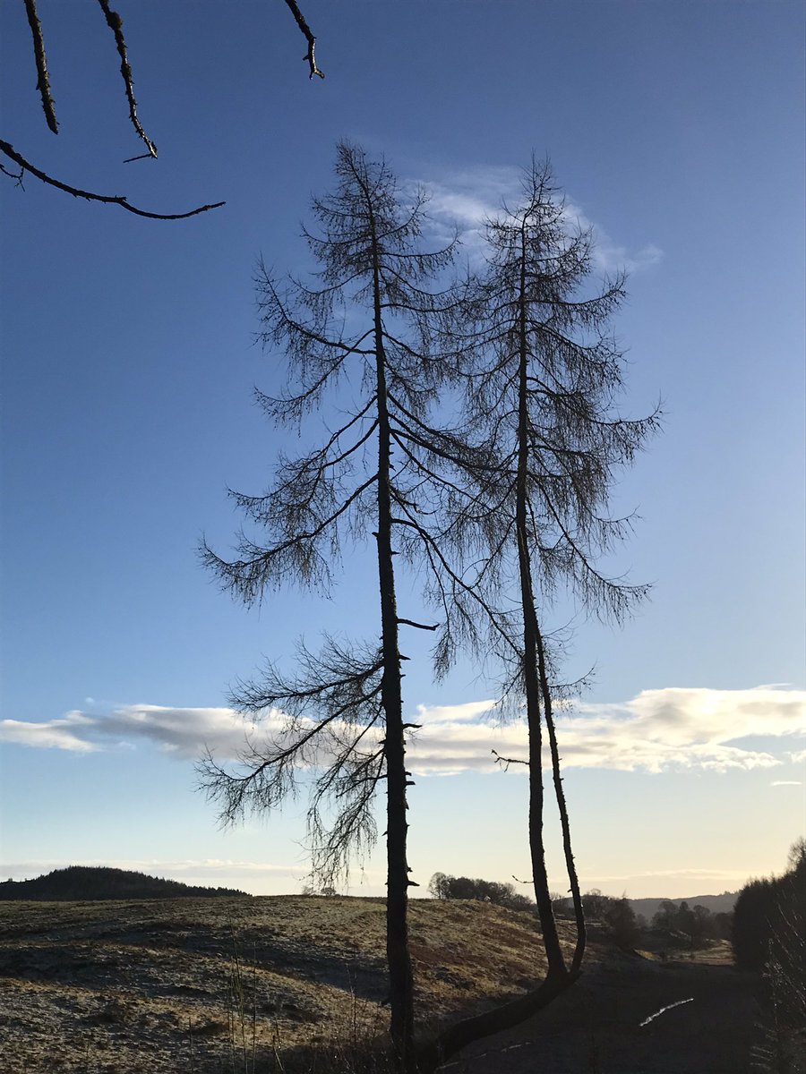 Corrie Watson 🏴󠁧󠁢󠁳󠁣󠁴󠁿🇪🇺 tweet media