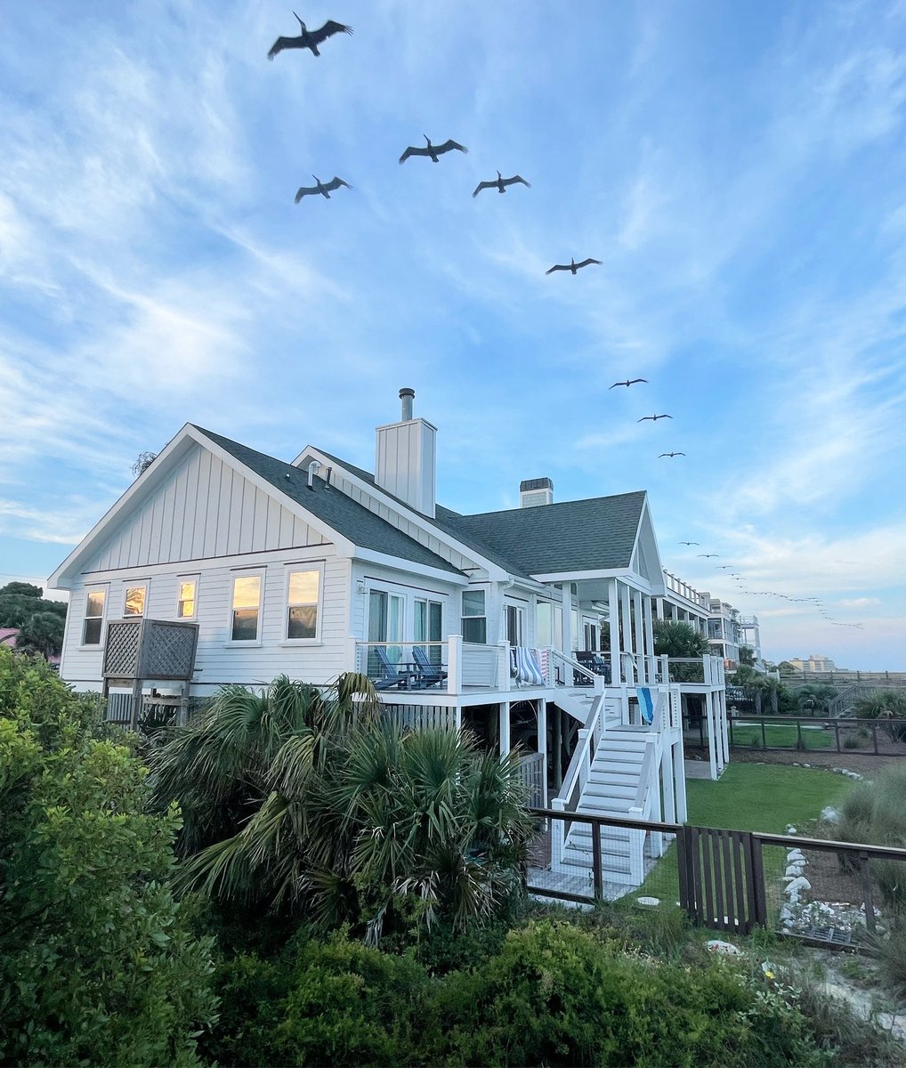 ChuckTownDaily's tweet photo. โThe purpose of life is to live it, to taste experience to the utmost, to reach out eagerly and without fear for a newer and richer experience.โ โ Eleanor Roosevelt
#charlestondaily #charlestoncoast #charlestonlifestyle #quotestoliveby https://t.co/PEkNQtOOgZ