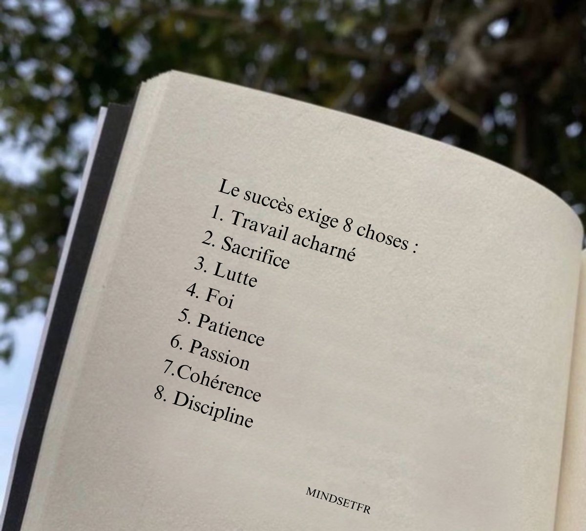 Mindset_FR's tweet photo. Le succès exige 8 choses https://t.co/AX2S0okm4y
