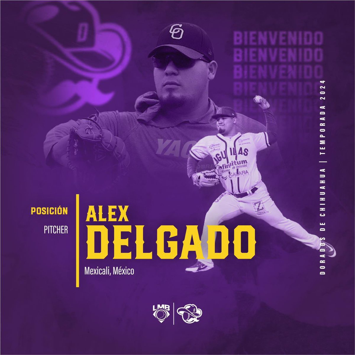 LosDeChihuahua's tweet photo. Bienvenido a Dorados, uno más al roster. 💜💛

Alex Delgado
Nacionalidad: 🇲🇽
Posición: Pitcher  

#EstamoDeRegreso https://t.co/uIFSRPhOp3