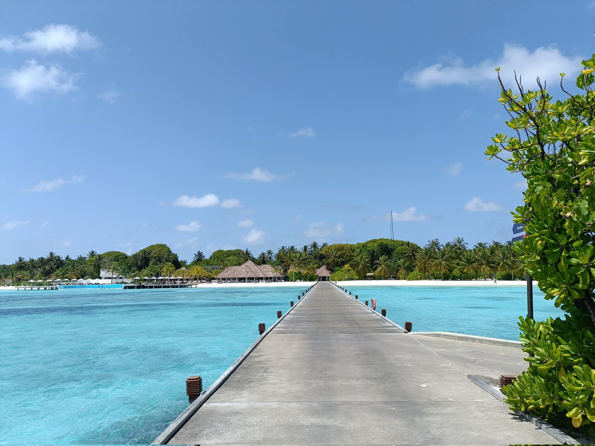 Asadmv7's tweet photo. حسبنا الله ونعم الوكيل

[ḥasbunā -llāhu wa-niʿma l-wakīl]

Allah is Sufficient for us, and He is the Best Disposer of affairs

#VisitMaldives #sunnysideoflife 🇲🇻 https://t.co/6HoOi0CVLR