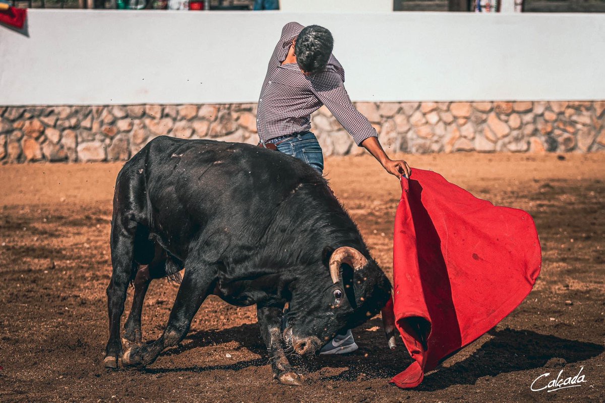 “El barco está más seguro cuando está en el puerto; pero no es para eso que se construyeron los barcos”
(Paulo Coelho)
📸 - @miguelcalcadasousa 
•
•
•
•
•
#catahuasi #toreros #recuerdo #barco #seguridad #seguiradelante #nodesistas #lucha #todollega #fé #paulocoelho