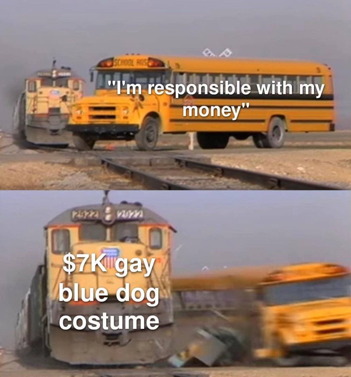 bluefolf's tweet photo. furries be like: https://t.co/8Wq3Dzw93K