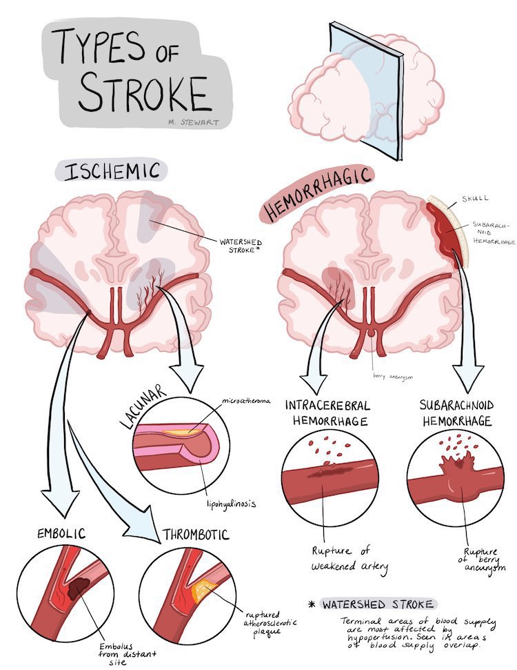 Medical_MD1 tweet picture