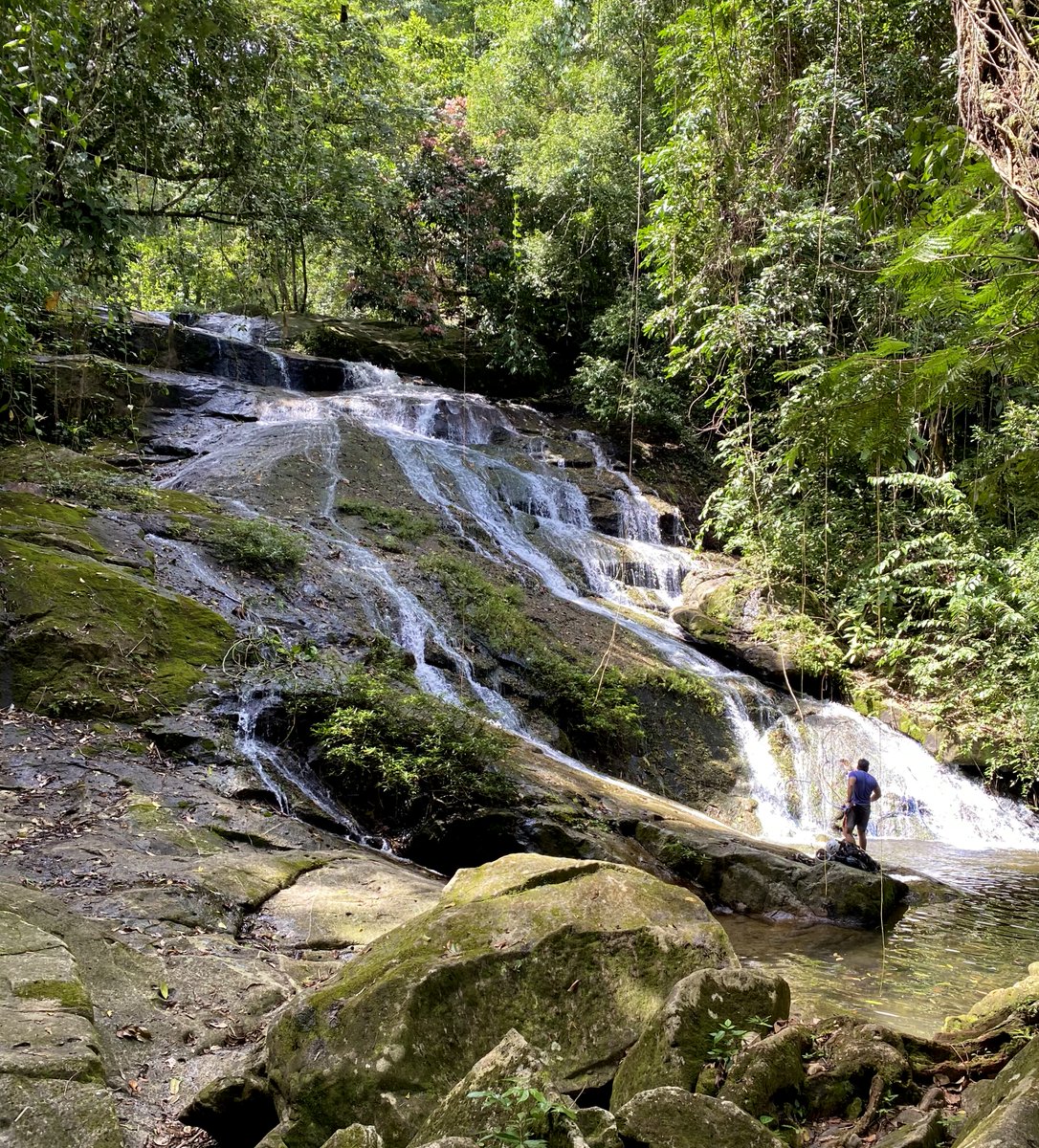 belizehub's tweet photo. Start your week with a thrill! 🌴🌊 Explore Belize, where every turn is an adventure waiting to happen!
.
.
.
.
.
#BelizeAdventure #TravelGoals #MondayMotivation #bocawinanationalpark #bocawina #waterfallrappelling #chasingwaterfalls #waterfalls #travelbelize #belize https://t.co/E6SPTpOuz4