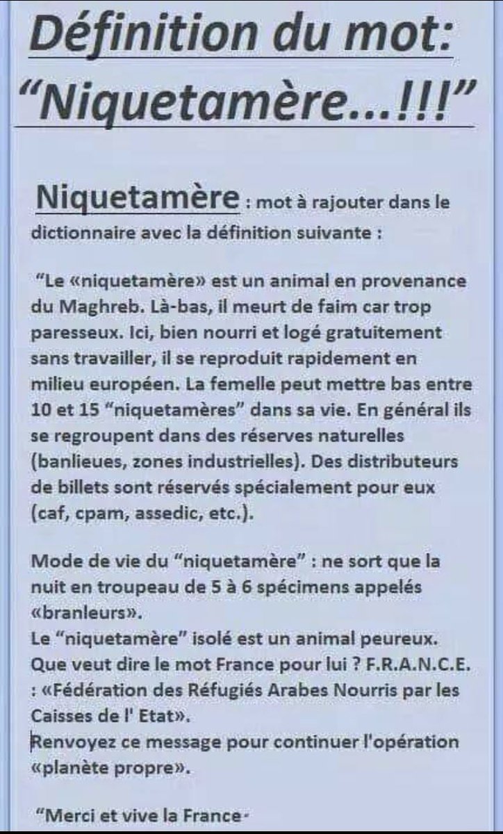 mooshism tweet media