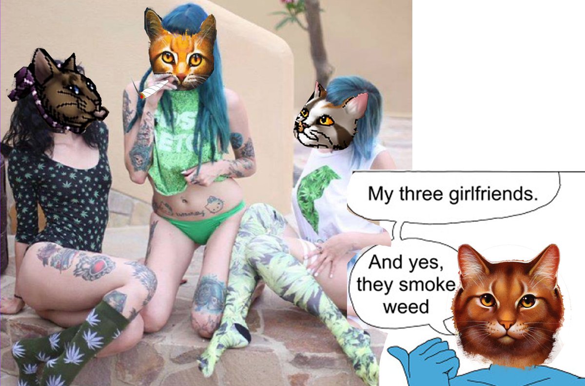 Stairway to Starclan tweet media