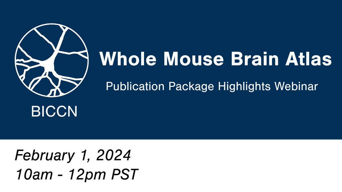 Join us on Feb. 1 for a webinar on the highlights from whole mouse brain atlas! Researchers from the @Nature paper package will present their studies and answer questions from the audience. Check out the agenda and register: portal.brain-bican.org/event-details-… #studyBRAIN @USBrainAlliance