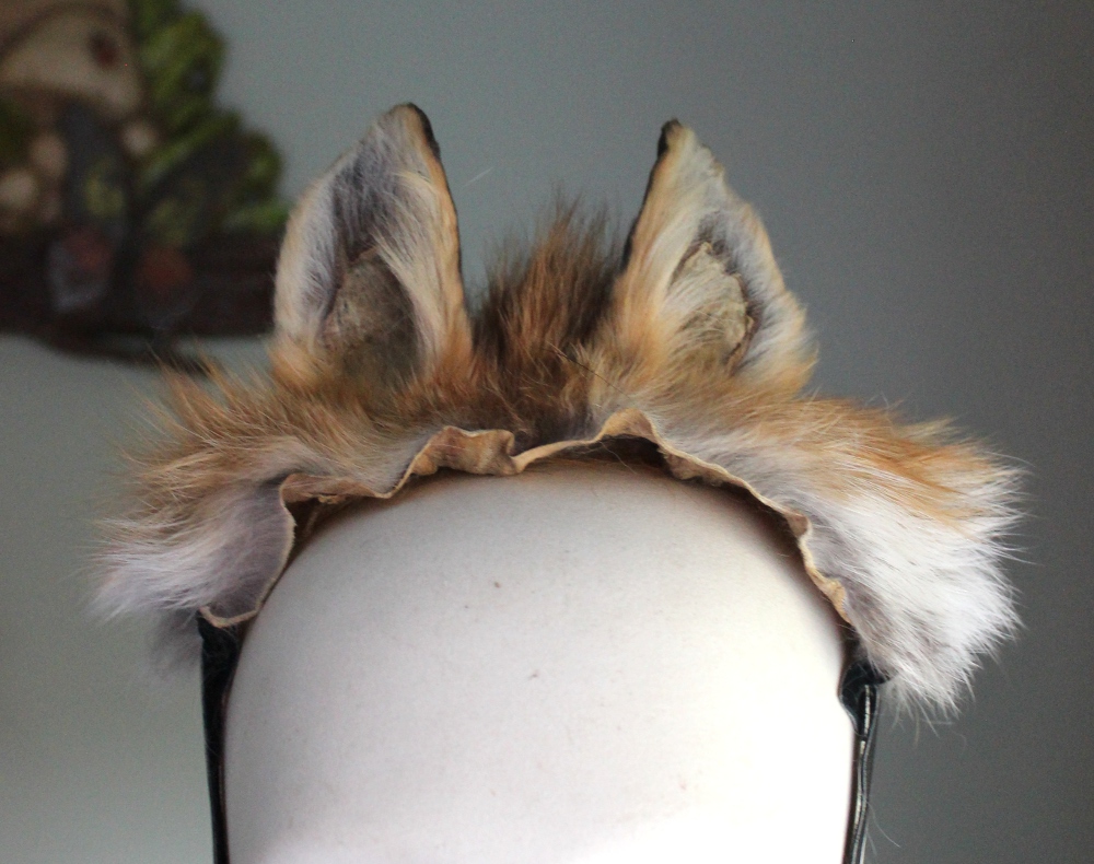 lupagreenwolf's tweet photo. I am continuing to slowly go through the last of my #VultureCulture art supplies, and I found some partly-finished ears. There are over a dozen new pairs now available at https://t.co/74wcVYgtox
#taxidermy #deadthings #oddities #curiosities https://t.co/mb4Kd4vwDS