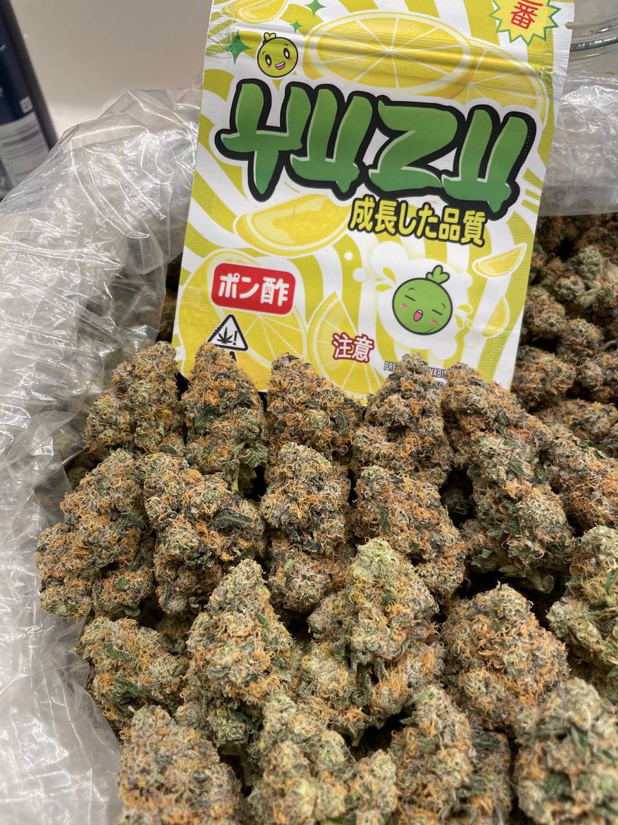 DoenLarry's tweet photo. Yuzu dubz garden https://t.co/8ZVCsUDSX1