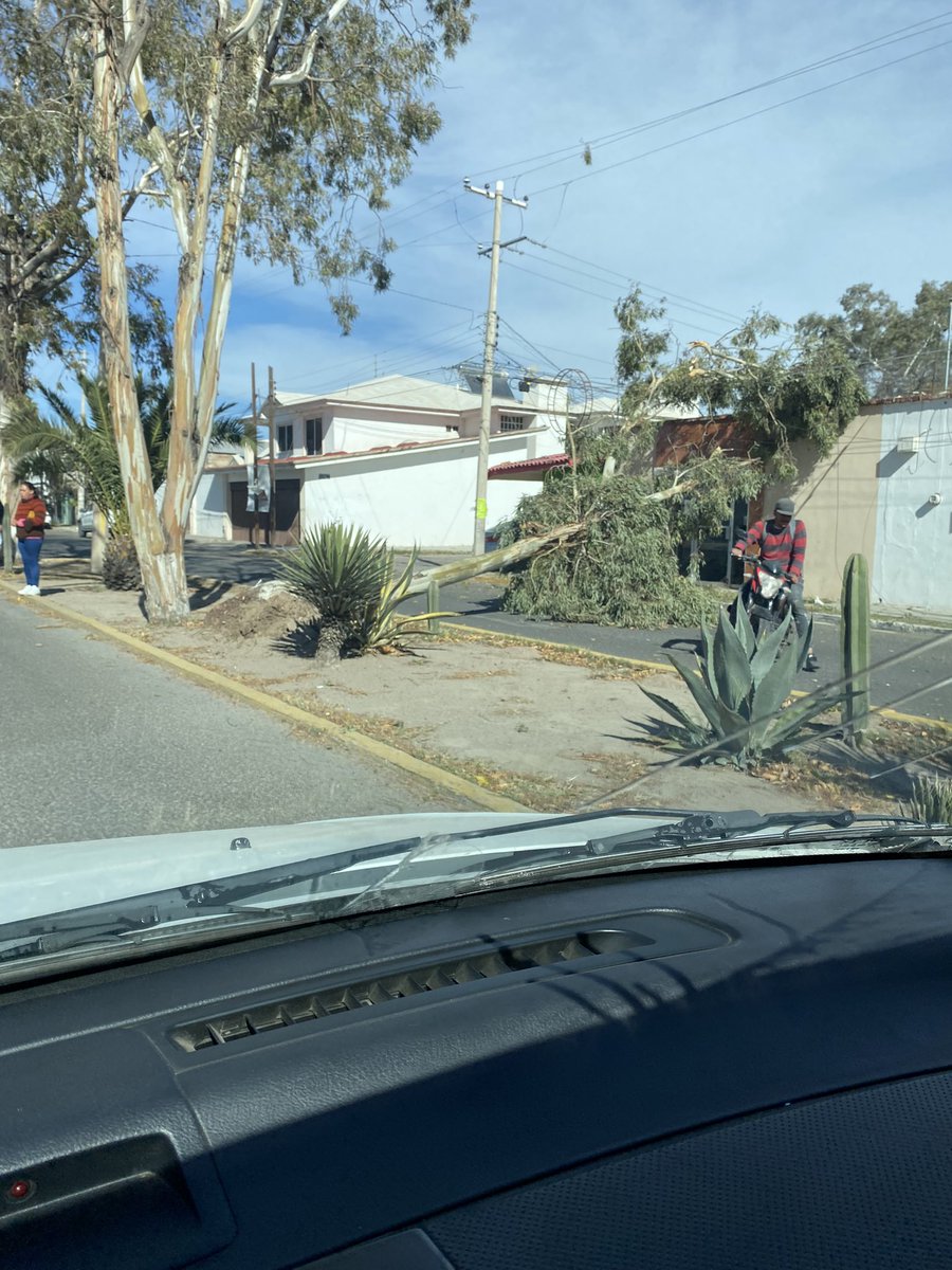 AlejandroMejo12's tweet photo. Con cuidado cuando circulen Bulevar  Domingo Arrieta . https://t.co/3S6CDr3Vo1