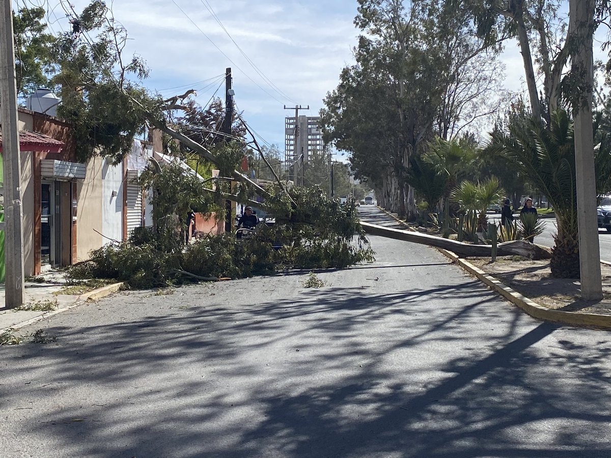 AlejandroMejo12's tweet photo. Con cuidado cuando circulen Bulevar  Domingo Arrieta . https://t.co/3S6CDr3Vo1
