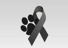 Ya no est&aacute;s Sufriendo mi ni&ntilde;o gracias por esos 15 a&ntilde;os que nos diste tu hermosa compa&ntilde;&iacute;a te extra&ntilde;amos<a href="/tag/nuevafotodeperfil"class="tags"><span>#nuevafotodeperfil</span></a>