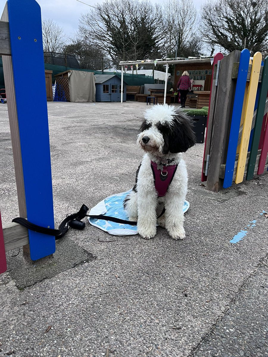 Mountnessing School tweet media