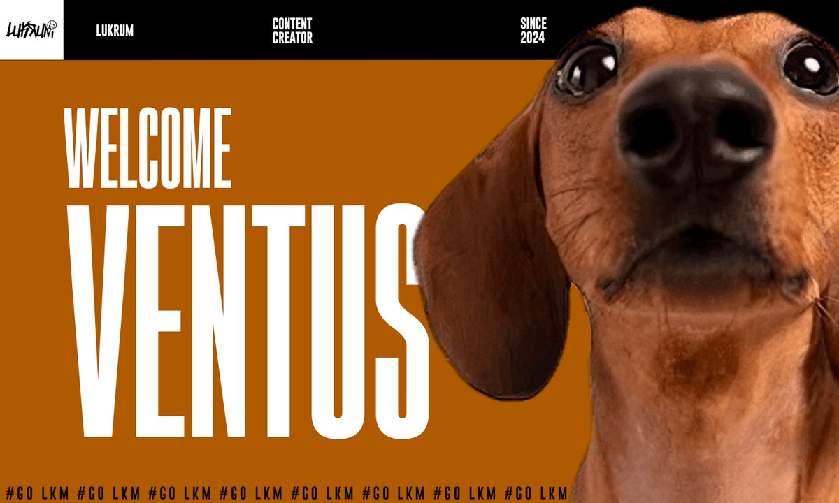 Dar la bienvenida a @Ventusyache32 nuestro nuevo content creator. 
El cc favorito de la vortex se une a nuestras filas para estos playoffs con watchpartys de todos nuestros partidos.
Os esperamos a todos en su twitch twitch.tv/veentus_
#GOLKM