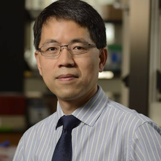 Hai-Quan Mao, director of @INBT_JHU and @JHUMaterials professor, has been named a Fellow of the @AcadofInventors. He is known for his work engineering novel nanomaterials for regenerative medicine and therapy delivery applications.