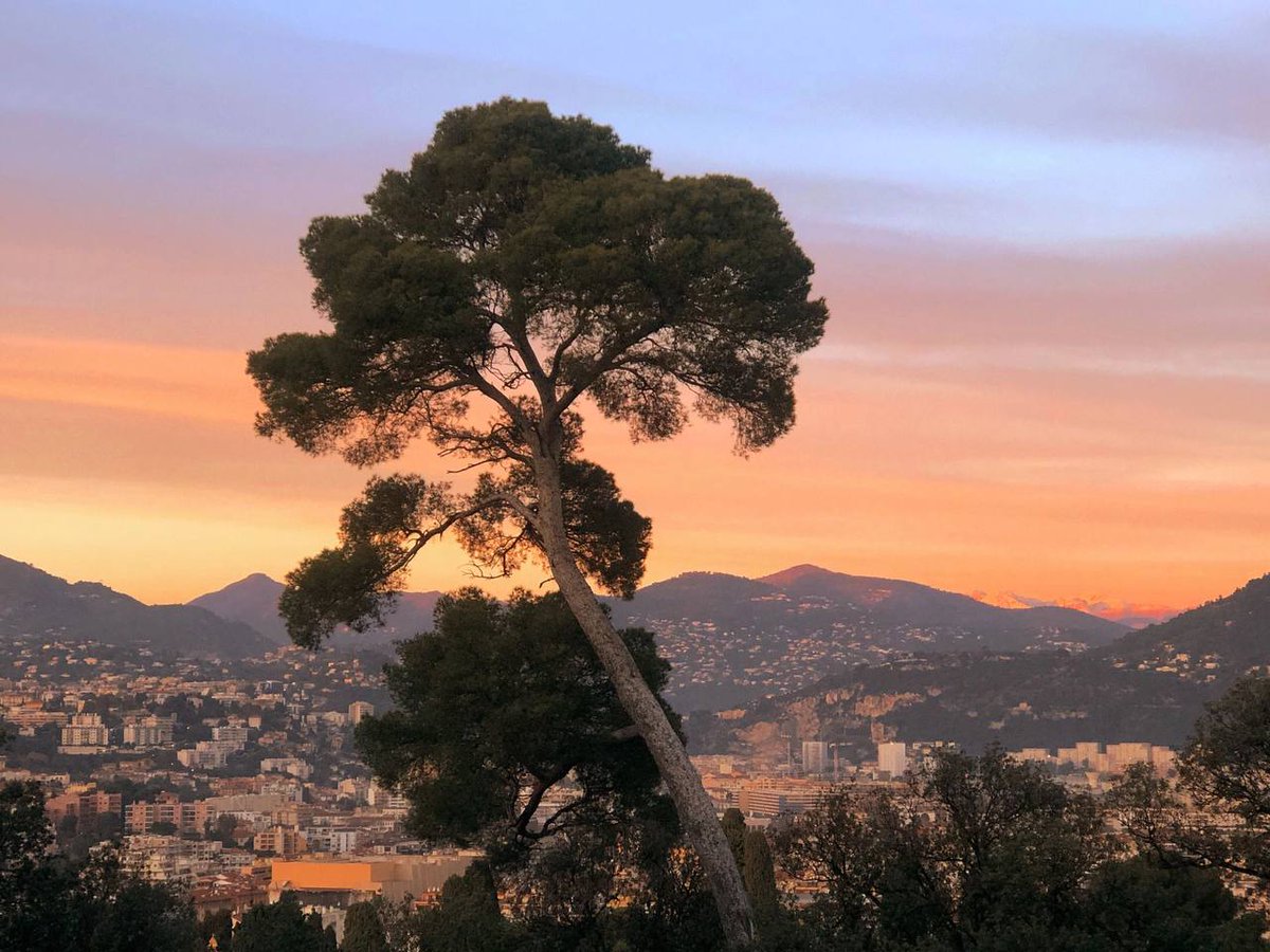 If ⳿you ᠎are so ⬝bad ᱸand  don't ᠎work ​hard, ⬝why ⳿do you ⳿have the ‍right ᠍to ᠎sigh?