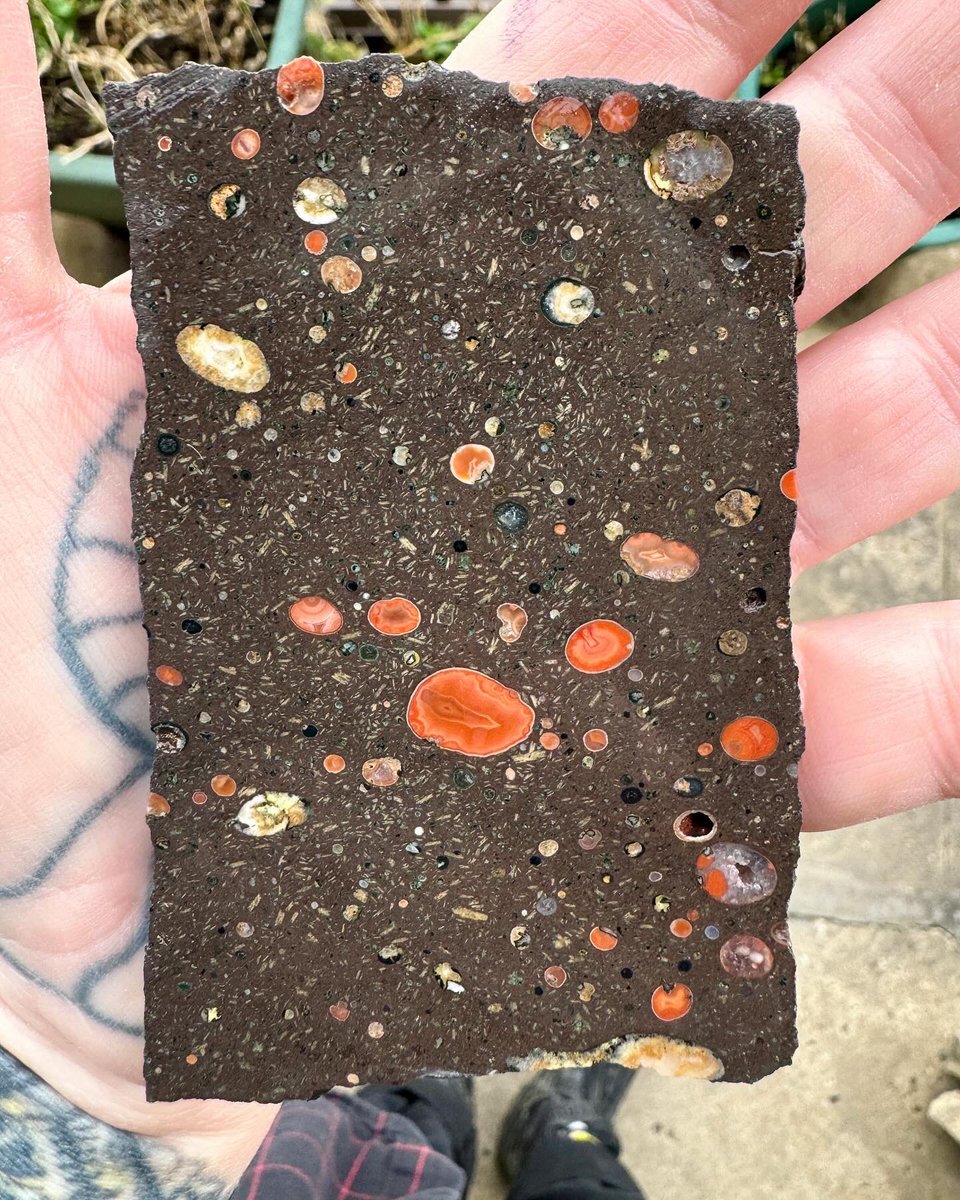 palaeokatie's tweet photo. For #MineralMonday here’s my current pocket rock - tiny wee agates in matrix from Fife 🏴󠁧󠁢󠁳󠁣󠁴󠁿🖤 https://t.co/uX6GU3zXAq