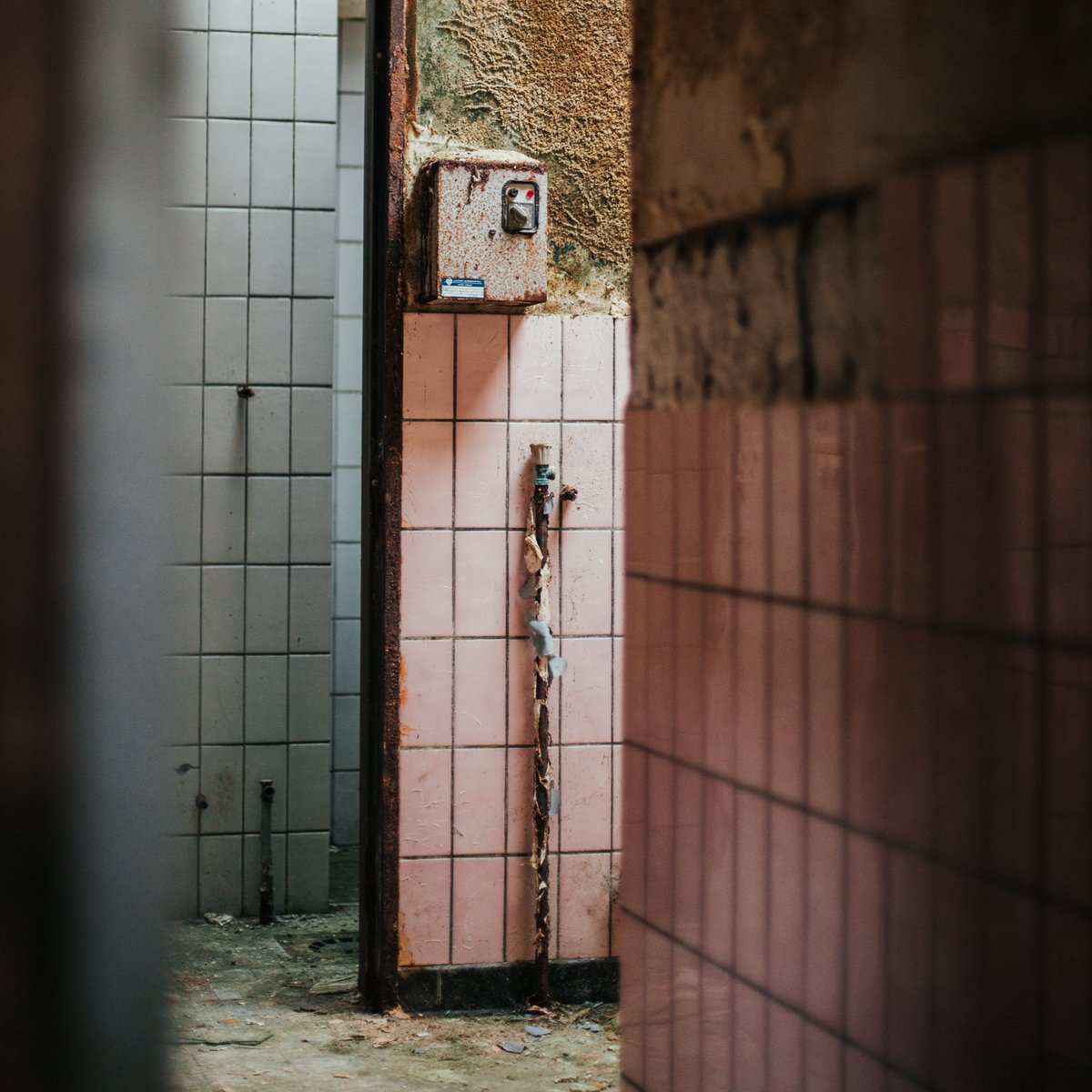 organichomesva's tweet image. 🏡 Dealing with mold and selling your home?  Mold issues often mean delays and negotiations. 💼 Enter the cash buyer – a swift solution to streamline the process. No lengthy inspections, no waiting for bank approvals. 🏠💸 #RealEstate #CashBuyer #MoldSolution #EfficientSale