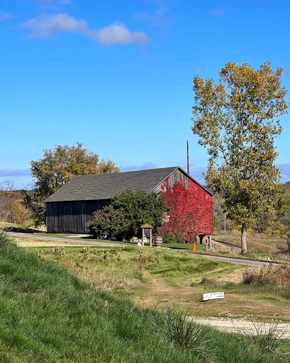 GolfKohler's tweet photo. Families and fairway fanatics alike fall in love year after year with The Baths. With its two-acre putting green, food and beverage options, and invigorating 10-hole par 3, it's easy to see why.
#GolfKohler #BlackwolfRun #WisconsinGolf #GolfPhotography https://t.co/q1YyVMZu1k