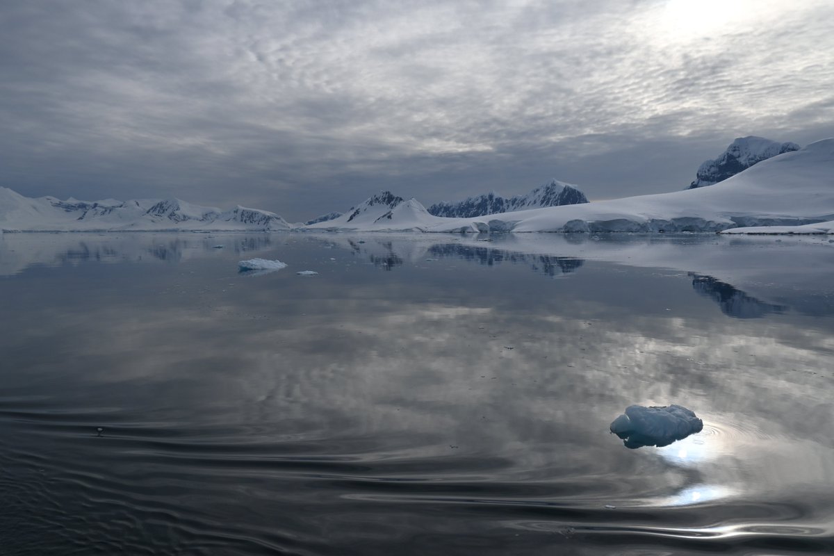 Dr Christelle Auguste tweet media