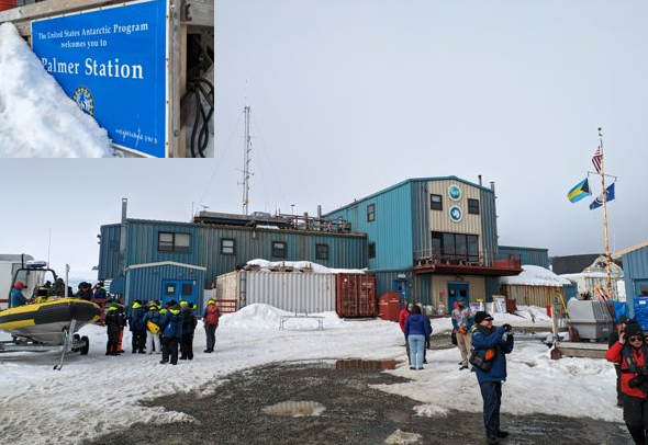 Dr Christelle Auguste tweet media