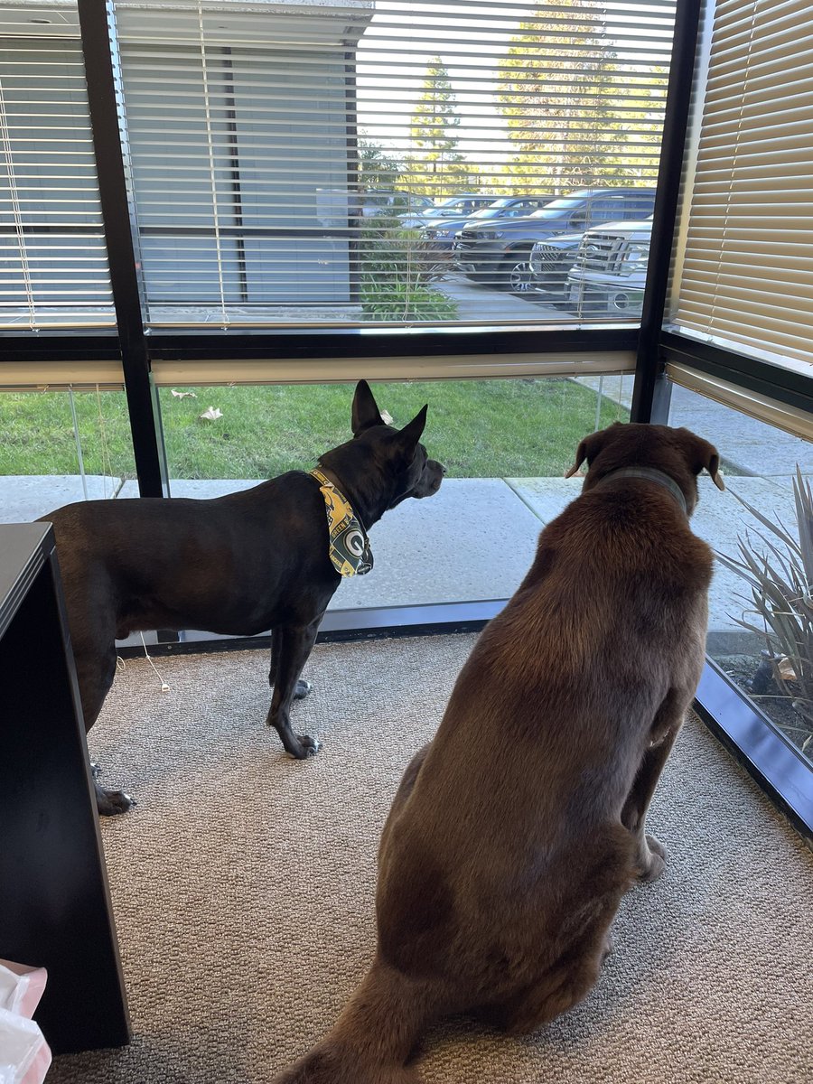 Meet Jack and Ted, security team at <a href="/toulongolf/">Toulon Golf</a>. I asked them to turn for the picture but they weren’t willing to leave their posts for even a second. Vigilant. Admirable.