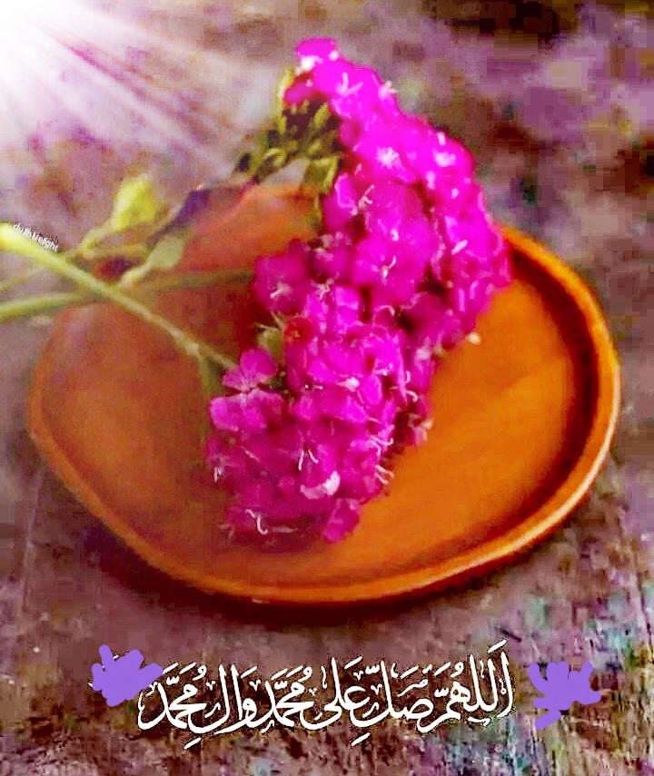 altaiymhk tweet media