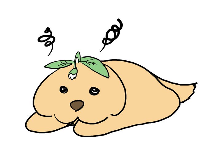 @aya19960121 ayaさん元気良すぎだワン!
びりぽんは運動不足でばててしまったワン。
馬に乗るのも結構体力を使うのだワン... 