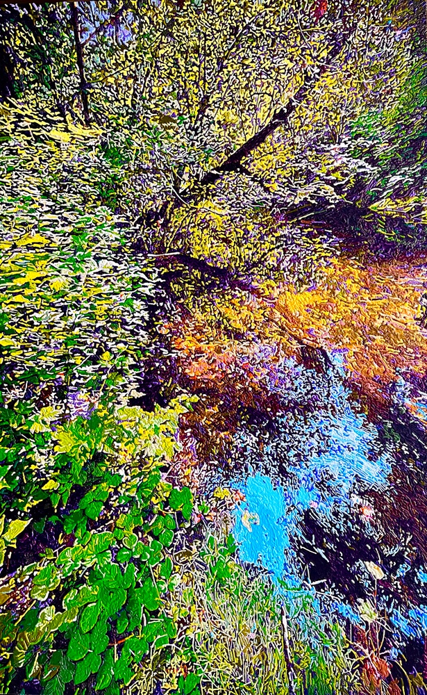 Precious Pond by Greg Navratil in the FASO Daily Art Stream dailyartstream.com/20240108/54711…