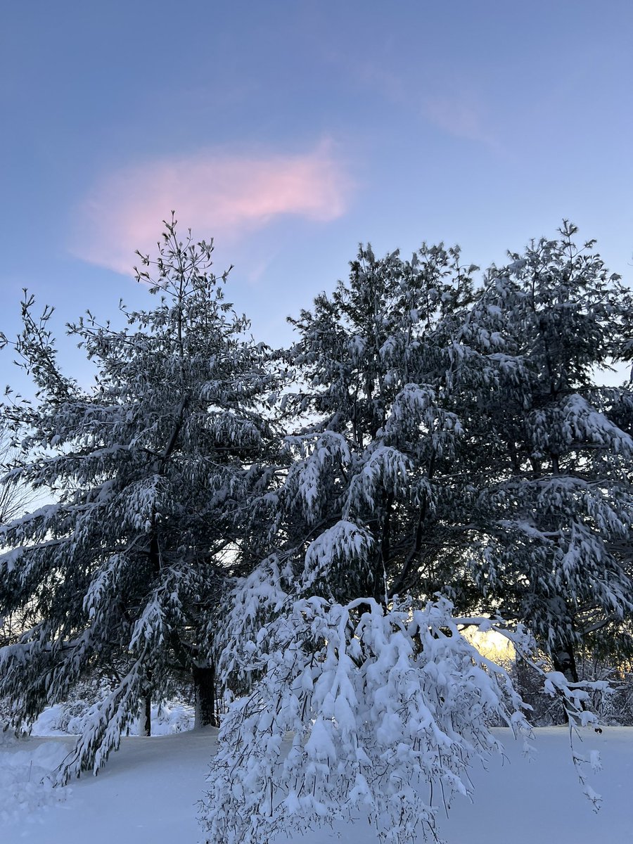 Argi_Hughes's tweet image. #Currentview 📸❄️