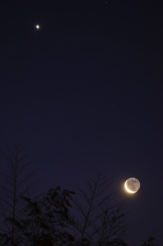 おはようございます。連休明け火曜の朝は、晴れた冬の空。
東の空で、細い月と金星が並んでいます。夜明けが遅い時期なので、まだ空が暗い街も多いと思います。もう起きている方は、少し空をご覧ください。
今日も良い１日になりますように。