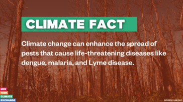 NYClimEx's tweet photo. ๐ #ClimateFact: Climate change can enhance the spread of pests that cause life-threatening diseases like dengue, malaria, and Lyme disease.
Learn more about the lesser-known impacts of the climate crisis here:
https://t.co/SO1Eec2HFA https://t.co/rDcsaR9sKN
