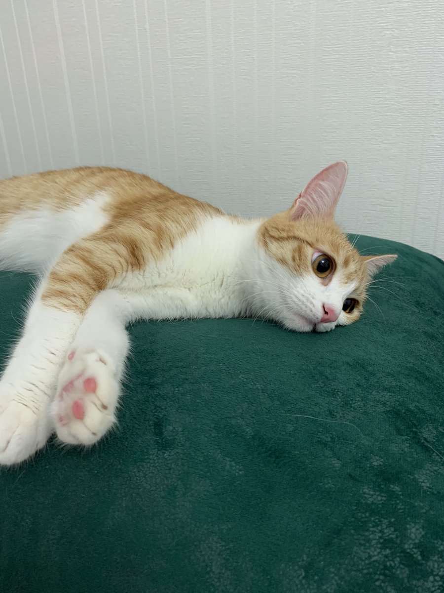 Belə gözlüyürəm hərşeyin düzəlməsini☺️