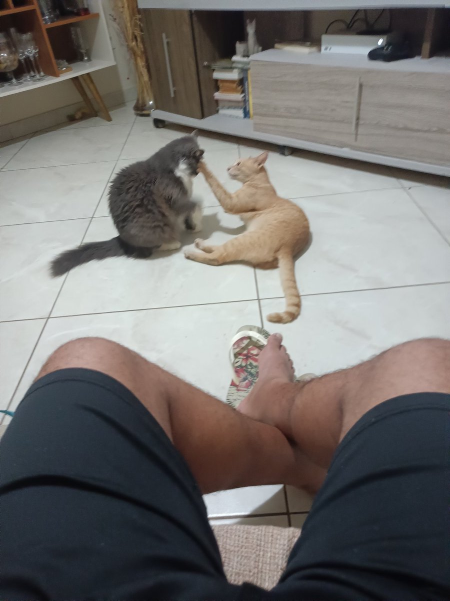 mavinhopbi's tweet photo. Boa tarde. #itmalia https://t.co/0QhfXFyRXg