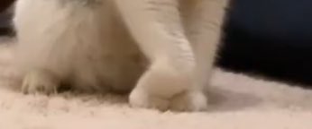 mel (@yesmarmelade) on Twitter photo 