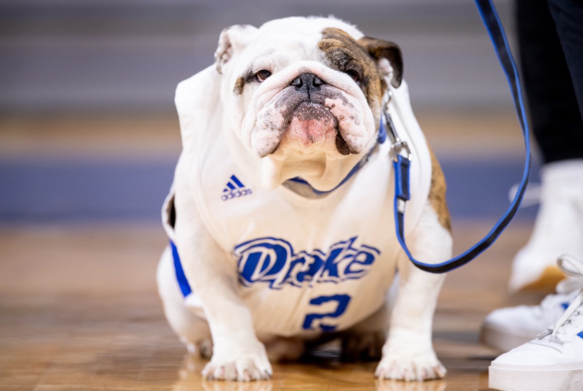 DUBulldogs tweet picture