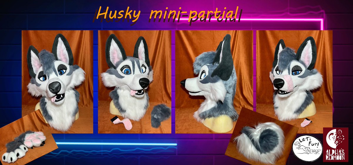 lets_fur's tweet photo. Cute mini partial husky needs a home!    

Video: https://t.co/2h5YQNUbhn 

https://t.co/Z91YFyKunt

Fursuit by Alpha's Red Moon / Let's Fur!

#fursuit #fursuiter #fursuitmaker #fursuiting #fursuitwip #fur  #husky #furry #furryfandom #furryswiss #alphasredmoon #sewing #furries https://t.co/E3RCAKZwtp