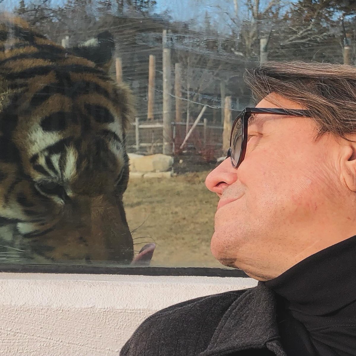 Wildcat 91.9 tweet media