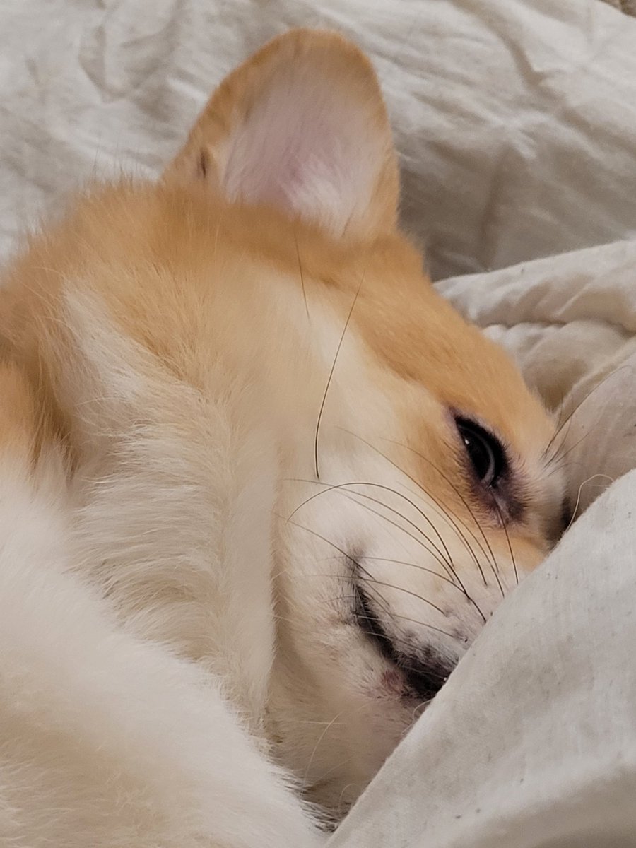 MessyEssy (@MessyEssyy)  X