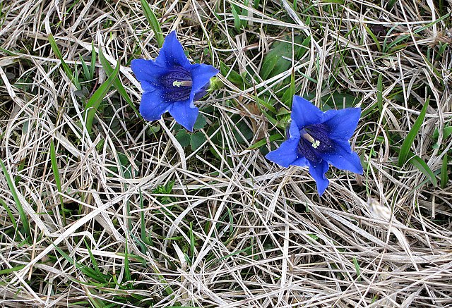 Rural Diary Archive tweet media